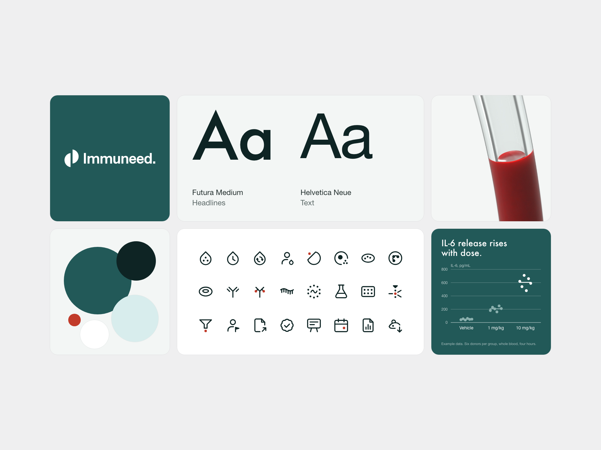 Immuneed project preview
