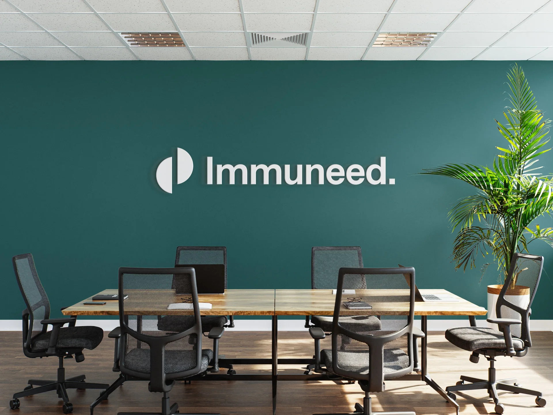 Immuneed project image 12